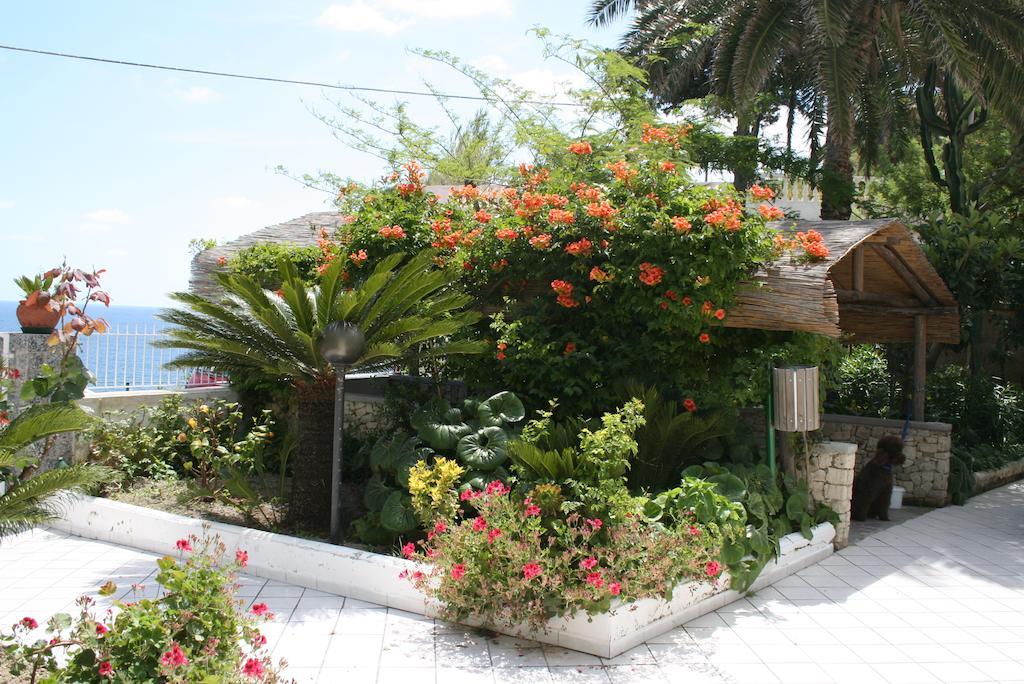 Hotel Villa Bina Sant'Angelo  Kültér fotó