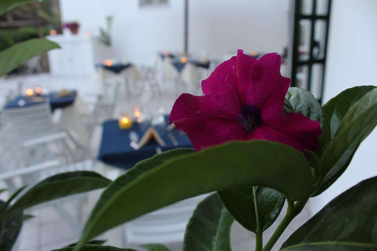 Hotel Villa Bina Sant'Angelo  Kültér fotó